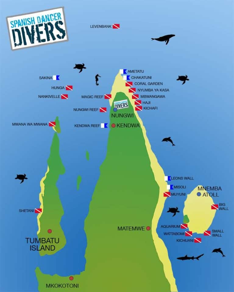 Best Dive Sites in Zanzibar | Spanish Dancer Divers