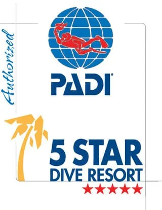 5 star Center for Diving Kendwa and Nungwi