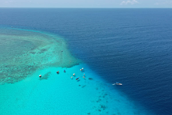 Zanzibar diving Mnemba Atoll