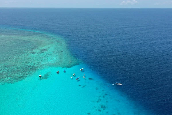 Zanzibar dive Mnemba Atoll